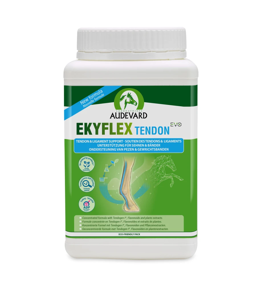 Audevard Ekyflex Tendon EVO 1 Audevard Ekyflex Tendon EVO