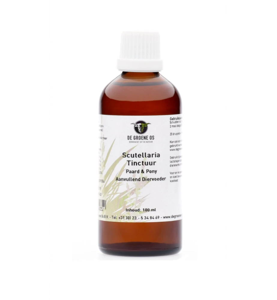 De Groene Os Scutellaria Tinctuur - 100 Ml 1 De Groene Os Scutellaria Tinctuur - 100 Ml