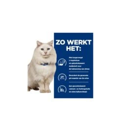 Hill's PD C/D Urinary Care Stress Stoofpotje Met Kip & Groente - 24 X 82 Gram 9 Hill's PD C/D Urinary Care Stress Stoofpotje Met Kip & Groente - 24 X 82 Gram -Dierenvriend Verkoopwinkel hill s pd cd urinary stress urinary care stoofpotje met kip groente 24 x 82 gram 3