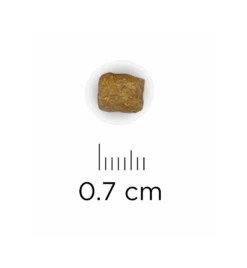 Hill's Prescription Diet L/D Liver Care - 1.5 Kg -Dierenvriend Verkoopwinkel hill s prescription diet ld liver care 15 kg 1