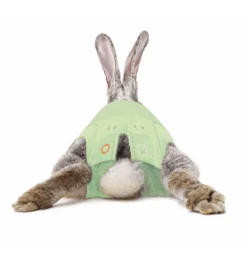 Medical Pet Shirt (Konijn) -Dierenvriend Verkoopwinkel medical pet shirt konijn groen 2