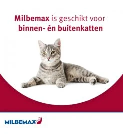 Milbemax Grote Kat -Dierenvriend Verkoopwinkel milbemax grote kat 3