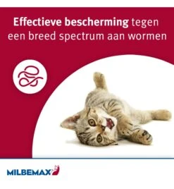 Milbemax Kleine Kat / Kitten 6 Milbemax Kleine Kat / Kitten -Dierenvriend Verkoopwinkel milbemax kleine kat kitten 1