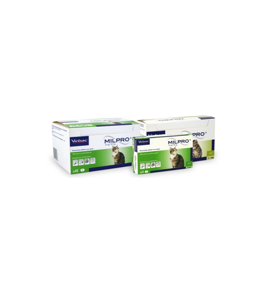 Milpro Grote Kat (+ 2 Kg) 2 Milpro Grote Kat (+ 2 Kg) - Afbeelding 2