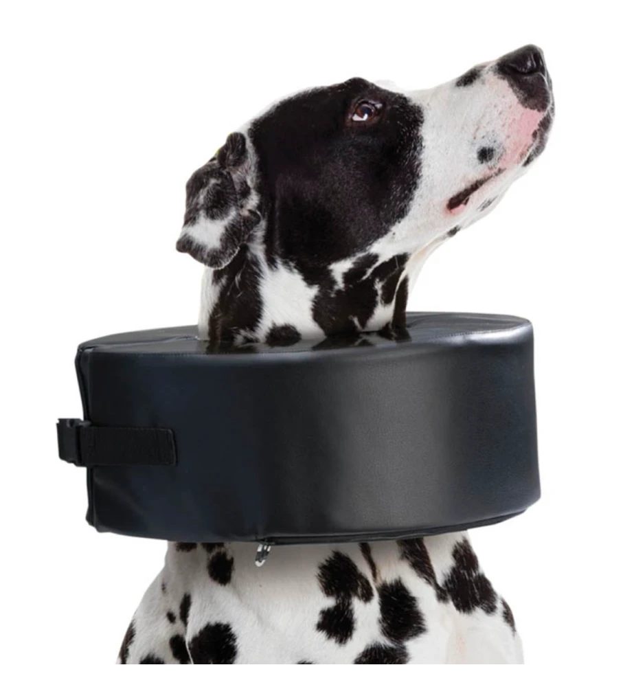 Moon Collar (Schuimkraag) 2 Moon Collar (Schuimkraag) - Afbeelding 2