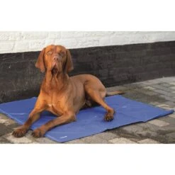 Beeztees Quick Cooler Koelmat IZI Blauw -Dierenvriend Verkoopwinkel quick cooler koelmat izi blauw 1 2