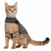 Thundershirt Kat