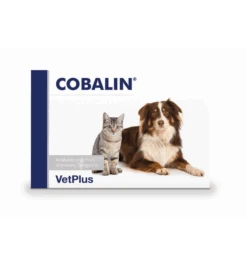 VetPlus Cobalin - 60 Capsules 5 VetPlus Cobalin - 60 Capsules -Dierenvriend Verkoopwinkel vetplus cobalin 60 capsules 2